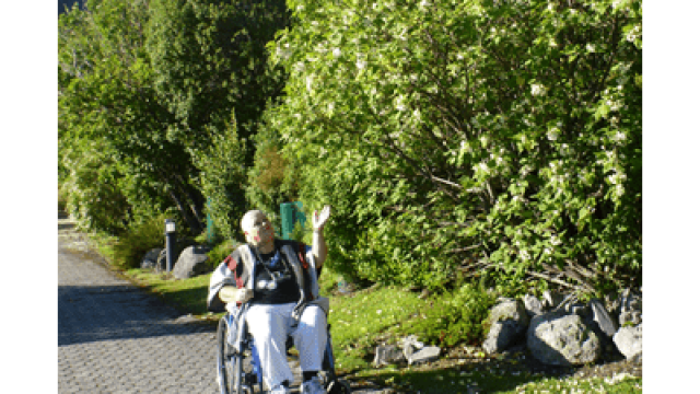 Ability Adventures New Zealand