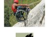 Wolfe Mobility